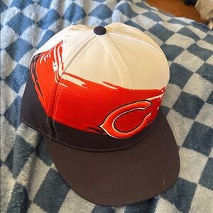 Bears Hat
